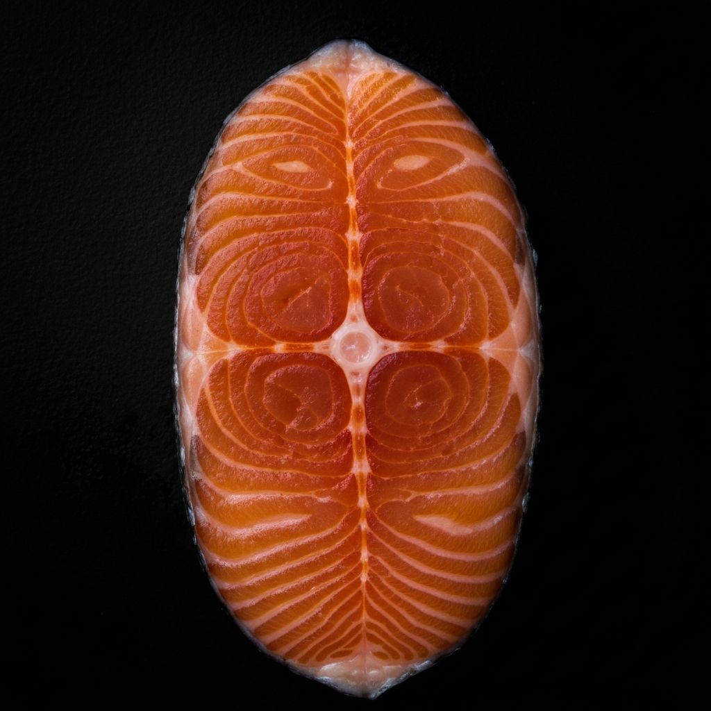 Свежий лосось